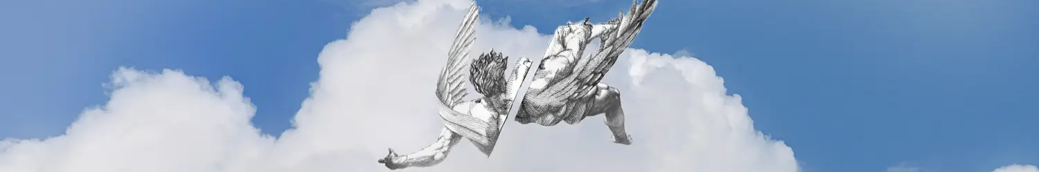 cover-image